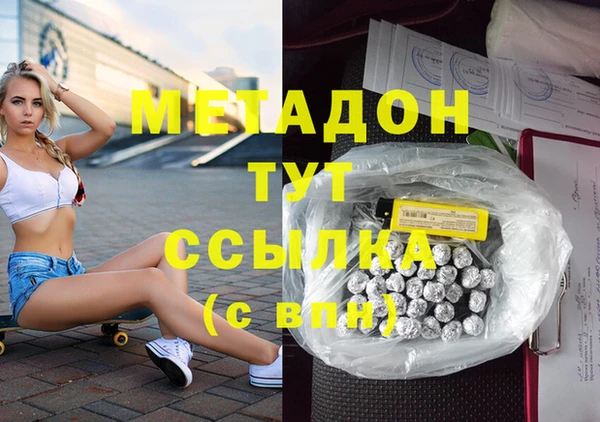 индика Алексин