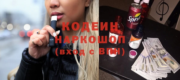 индика Алексин