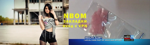 индика Алексин