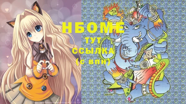 индика Алексин