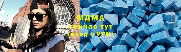 индика Алексин