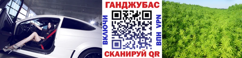 KRAKEN как войти  как найти наркотики  Камышин  Бошки марихуана OG Kush 
